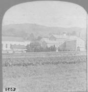 SA0302 - Photo from the New Lebanon, NY Shaker village associated with the Church Family. Identified on the back.